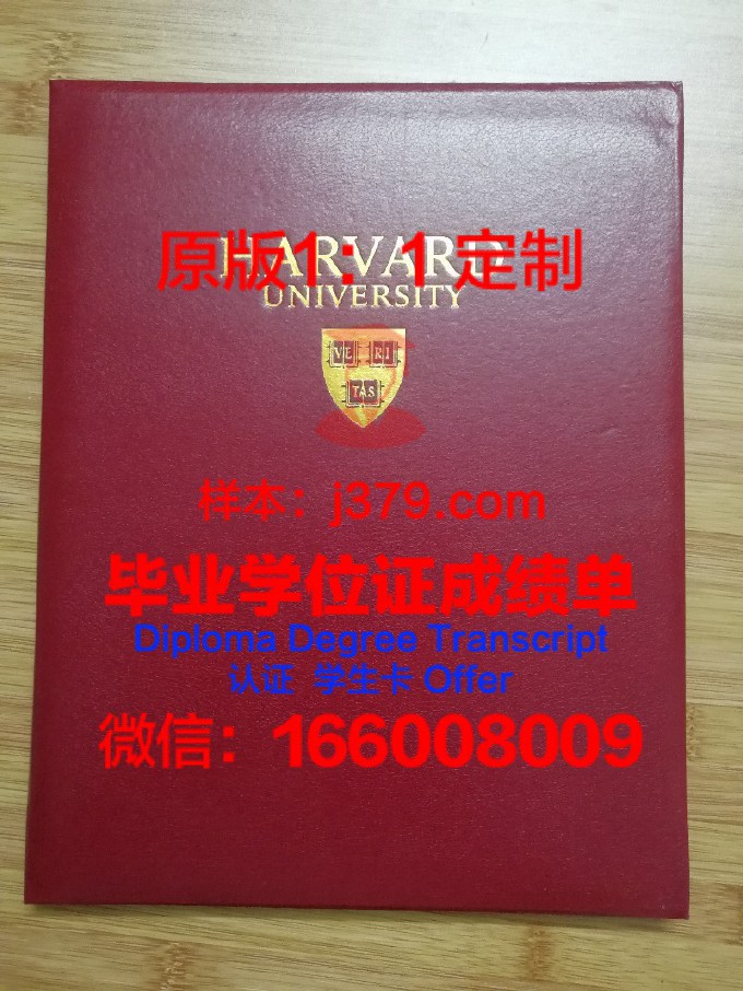 里加斯坦丁大学毕业证壳子(里加斯坦丁斯大学)