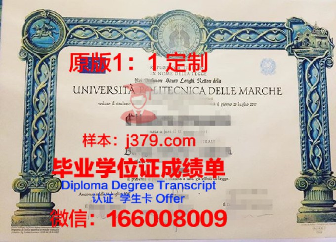 代尔夫特理工大学毕业证照片(代尔夫特理工大学中国留学生多吗)