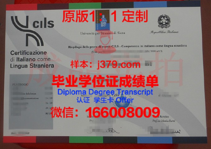 锡耶拉学院diploma证书(锡耶纳考试报名流程)