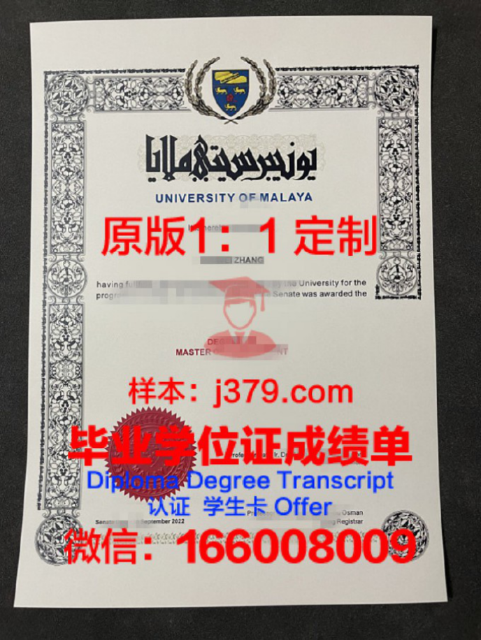 费拉拉大学毕业证diploma