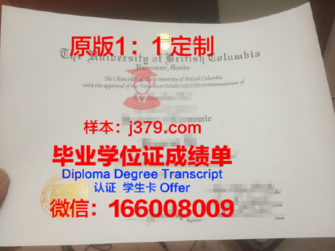 哥伦比亚大学毕业证diploma