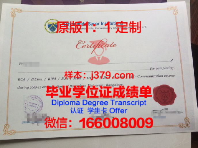 班加罗尔大学花园城市学院毕业证diploma