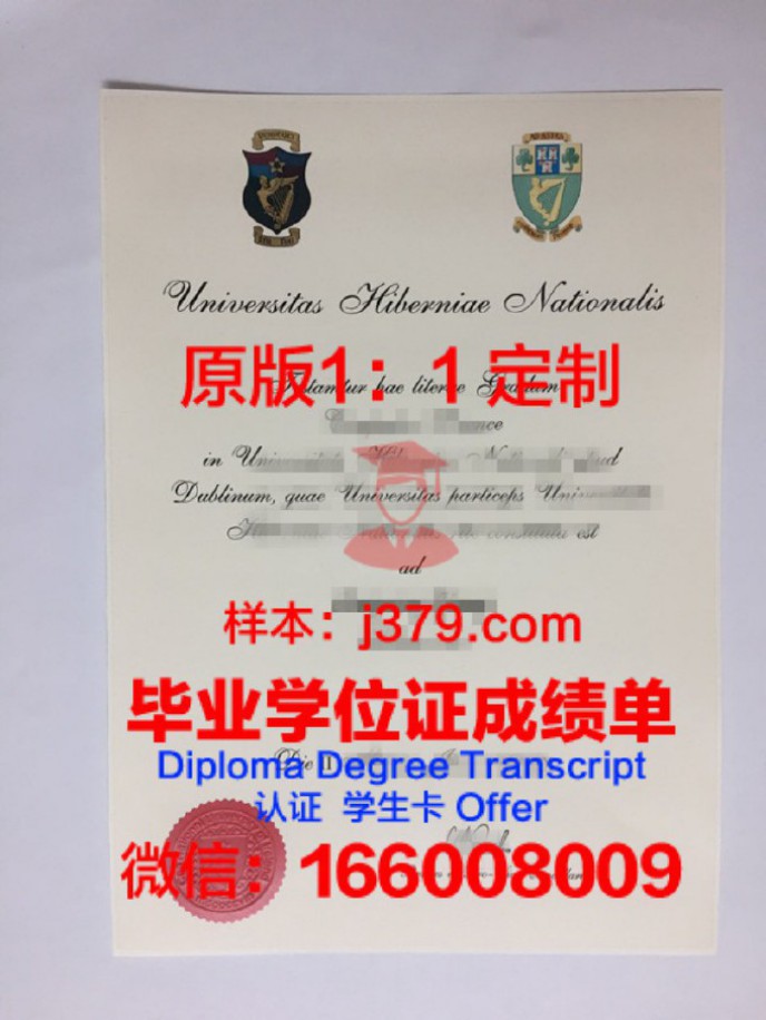 爱尔兰莱特肯尼理工学院毕业证diploma