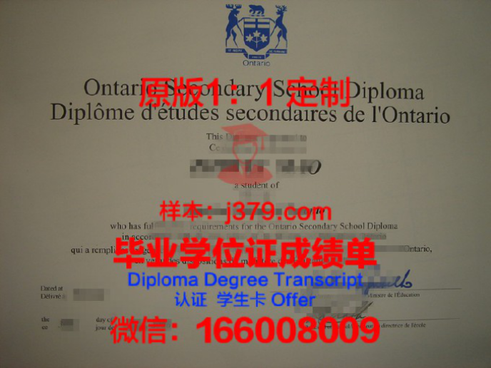 京畿科学技术大学diploma证书(京畿大学好毕业吗)