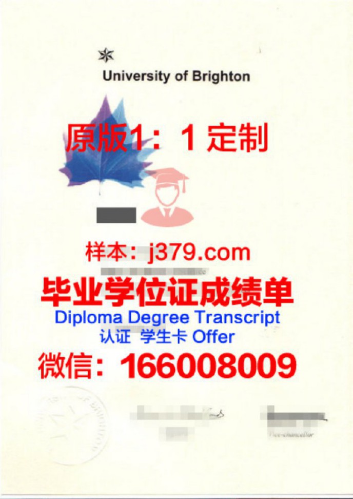 布莱顿大学毕业证原件(布莱顿大学回国认可度)