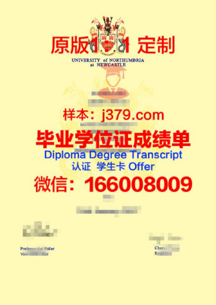 比亚威斯托克工业大学毕业证diploma