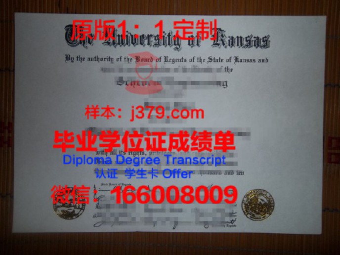 达拉斯艺术学院毕业证diploma