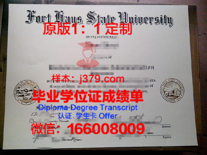 奥斯堡大学毕业证长什么样(奥斯堡大学毕业证长什么样图片)