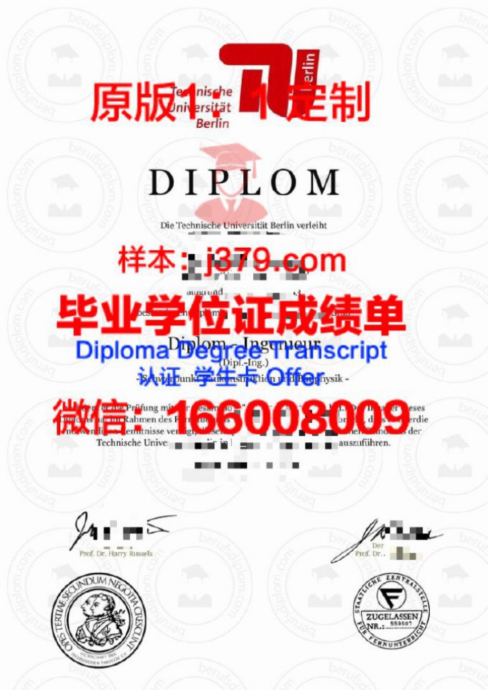 柏林经济学院毕业证diploma