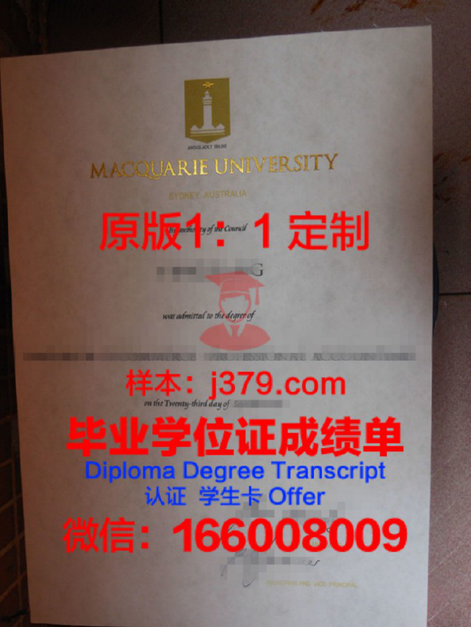 麦考瑞大学博士项目：培养未来领军者的三年之旅