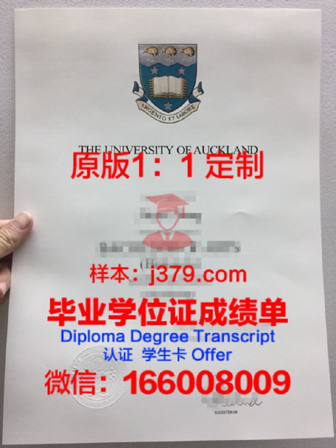 新西兰脊椎神经学院硕士毕业证——开启国际医疗领域的金色通行证